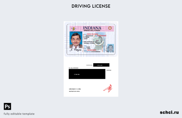 цифровая загрузка шаблона USA Indiana DL